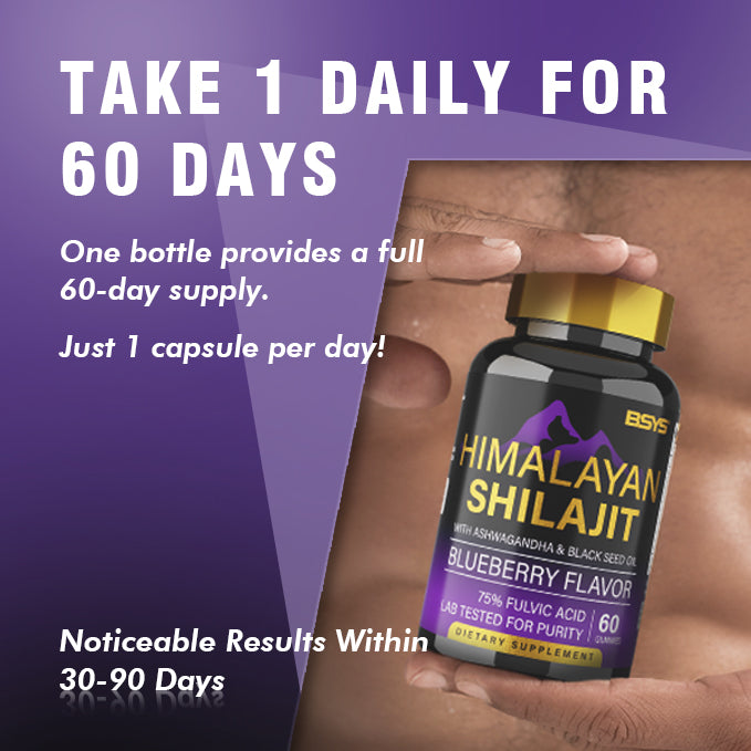 BSYS Shilajit Gummies – Natural Energy & Vitality Support Supplement (60 Chewables)