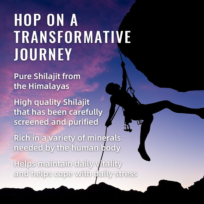 BSYS Shilajit Gummies – Natural Energy & Vitality Support Supplement (60 Chewables)
