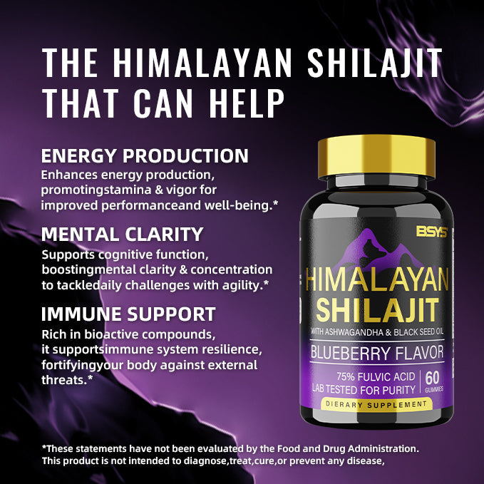 BSYS Shilajit Gummies – Natural Energy & Vitality Support Supplement (60 Chewables)