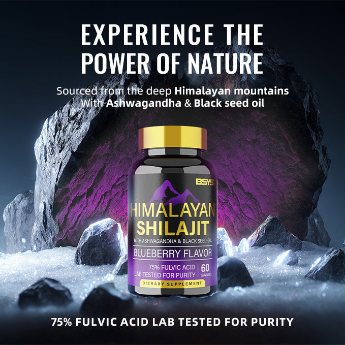 BSYS Shilajit Gummies – Natural Energy & Vitality Support Supplement (60 Chewables)